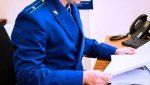 Перед судом предстанет житель Ржаксинского округа, по вине которого в ДТП погибла его супруга